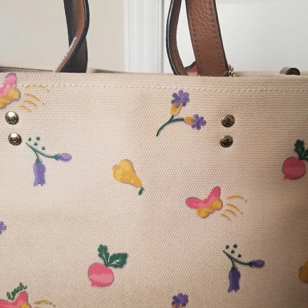 Coach Dreamy Veggie Dempsey Handbag